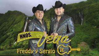 Hermanos Vega Jr  Ignora mi llanto Video Lyric [upl. by Lewison]