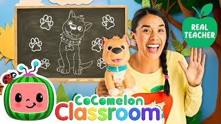 Animal Sounds and Letters BINGO  Ms Appleberry  CoComelon Classroom Learning for Kids [upl. by Ennaitsirhc83]