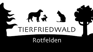 Tierfriedwald Rotfelden Nordschwarzwald  Tierfriedhof  Pet cemetery im Mai 2024 [upl. by Lyrradal]