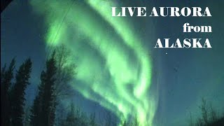 LIVE Alaska Aurora Live Stream Sep Nov 1516 2024 [upl. by Tammie]