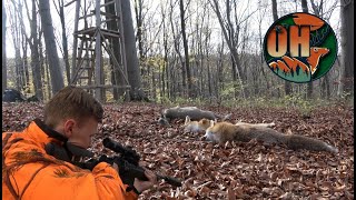 DRÜCKJAGD im Thüringer Wald I 2022 I Wild ohne Ende [upl. by Ettennaj512]