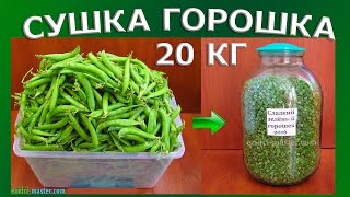 Сушка зеленого горошка – 20 кг [upl. by Byrom]