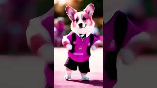 dog dogdance funny superdog dance crazydog cartoon crazydance doglover crazydancing [upl. by Krilov]