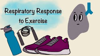 Respiratory Response To Exercise  Respiratory Physiology [upl. by Richel]