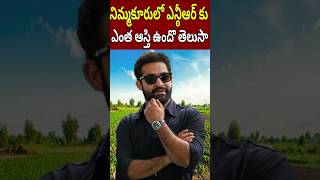 Jr NTR Lands and Net Value in Nimmakuru Village  Jr NTR Grand Fathers Home Townshortsjrntr [upl. by Ricca362]