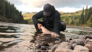 Skeena Steelhead 2020 [upl. by Clarhe]