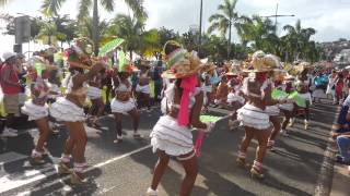 Carnaval Le 26012014  Avan Van Du moule [upl. by Gnilsia]