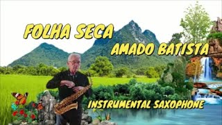 Folha seca Amado Batista Instrumental mucic [upl. by Nagam]