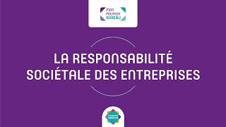 La Responsabilité Sociétale des Entreprises RSE [upl. by Rhynd289]