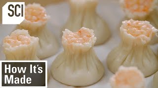 How to Make Dumplings  How Its Made [upl. by Atteram]