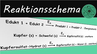 Reaktionsschema aufstellen und lesen [upl. by Attiuqihc815]