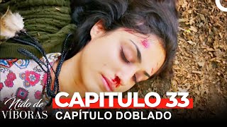 Nido De Víboras Capitulo 33 Dobladas en Español [upl. by Searby111]