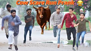 Fake Cow Run Prank 😂ThatWasCrazy [upl. by Ahsircal33]