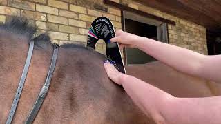 How to use the EasyChange Gullet gauge  Bates Wintec Arena Adjustable Saddles [upl. by Atinad]