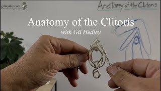 Anatomy of the Clitoris Learn Integral Anatomy with Gil Hedley [upl. by Javier]