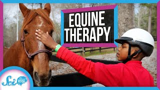 Equine Therapy Why Horses Might Make Great Therapy Animals [upl. by Suoicerpal]