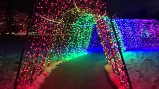 Hudson Gardens Christmas lights [upl. by Ynogoham]