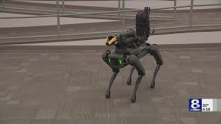 Robot police dogs turning up in more cities What about Rochester [upl. by Prudence]