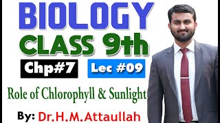 Role of chlorophyll and sunlight  Bioenergetics  Chapter 7  9th class Biology  Lec 9 [upl. by Armand867]