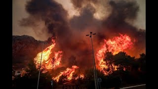 Alarmierende Zahl Rauch von Waldbränden tötet tausende Menschen [upl. by Asante]