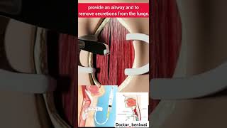 Procedure name trachea anatomy doctoring bams mbbs song viralshorts [upl. by Fish]