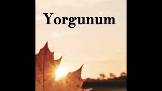 Yorgunum [upl. by Klarrisa]