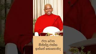 එපා වෙන මිනිස්සු එක්ක එකට ඉන්නේ කොහොමද🥺🙏🏼 [upl. by Eirrok]