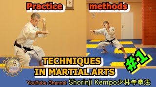 1Methods to practice basic techniques in martial arts Shorinji Kempo 少林寺拳法の基本 [upl. by Gilbertine]