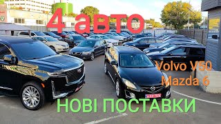 НОВІ поставки авто з Європи Київ 240824 [upl. by Fedirko]