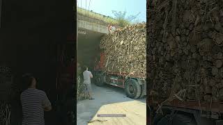 Process Of The Truck Loaded With Wood Passing Through The Bridge Opening [upl. by Wehner]