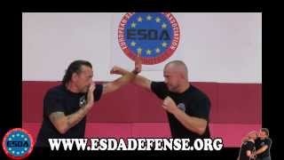 Curso Defensa Personal Online  Golpes Básicos  Defensa Personal ESDA [upl. by Iives]