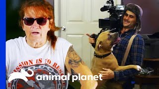 Behind The Scenes Of Villalobos Dog Rescues With Tia Torres  Pit Bulls amp Parolees [upl. by Levitt]