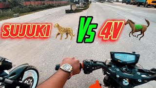 Sujuki vs 4v Tiger and horse fight 😰for you bikerider bmriderjubo Rawrideryoutube [upl. by Rehnberg296]