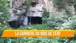 LA CARRIÈRE DU BOIS DE CERF [upl. by Naaitsirhc19]