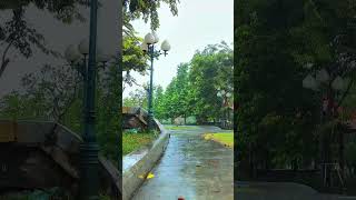 10 hours Heavy rain in the park rain rainsounds relax [upl. by Toblat873]