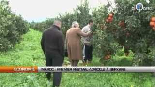 Maroc Première édition du festival agricole de Berkane [upl. by Jolenta]