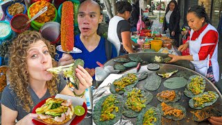 HUGE Mexican Street Food Tour in Mexico City  TOSTADAS TACOS TAMALES  MORE STREET FOOD IN CDMX [upl. by Alvira]