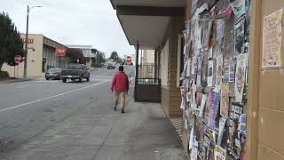 Arcata California stroll Fall vibes Views Hills Redwood Trees [upl. by Bor]