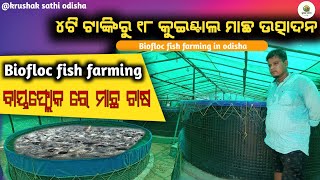 Advanced Biofloc Fish Farming Technology  Indoor Fish Farming Business [upl. by Kora638]