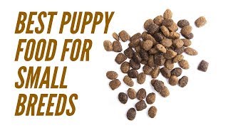 Best Puppy Food For Small Breeds – Picking The Right Dog Food Brand For Your New Dog [upl. by Lynd]