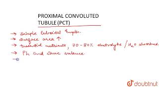 PROXIMAL CONVOLUTED TUBULE PCT [upl. by Hudson]