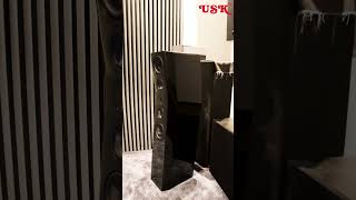 NEW SVS Ultra Evolution Titan Speakers DEMO demo bass hifi stereophile audiophile stereo [upl. by Renrut]