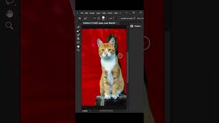 Easily Remove Complicated Background in adobe photoshop Adobe photoshop 2024 tips 🪄🔥photoshop [upl. by Boone]