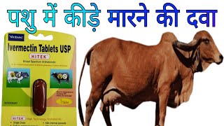 Vet Bolus Hitek Uses in Hindi  Ivermectin Tablets Veterinary medicine [upl. by Narat93]