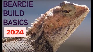 How to set up a Bearded Dragon Terrarium NEW [upl. by Eliak]