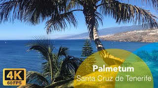 Palmetum  Santa Cruz de Tenerife 4K [upl. by Nawed]