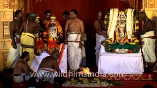 Priests performing the rituals of Kalyana Mahotsavam  Delhi [upl. by Odysseus]