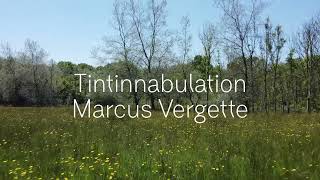 Tintinnabulation  Marcus Vergette [upl. by Pitzer]