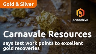 Carnavale Resources says test work points to excellent gold recoveries [upl. by Carena]