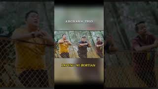 Lapung Ni Bortian  Arghana Trio arghanatrio lagubatakpopuler [upl. by Tiffy]